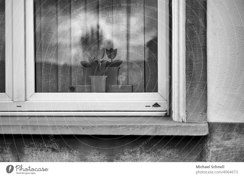 Window with wooden flowers House (Residential Structure) Architecture Facade Deserted Gloomy dreariness sad Black & white photo black-and-white