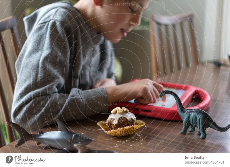 Boy with Autism communicating with ipad while eating a homemade gluten free muffin; plastic animal toys nearby special needs autism communicate communication