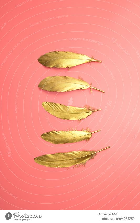 Gold shiny feathers in a row on pastel pink background, Flat lay, retro,modern,colorful stylish concept top view. design element wallpaper copy space wing