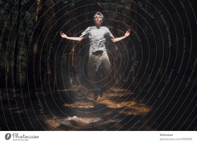 Beam me up Summer Human being Masculine Man Adults 1 Environment Nature Beautiful weather Tree Forest Jump Creepy Athletic Meditation Hover Woodground
