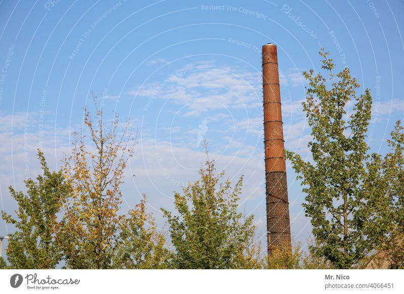 Chimney Tree Factory Sky Industry Clouds Fireside Plant Environment Energy industry Blue sky Bushes grasses CO2 emission Exhaust gas Emission Production