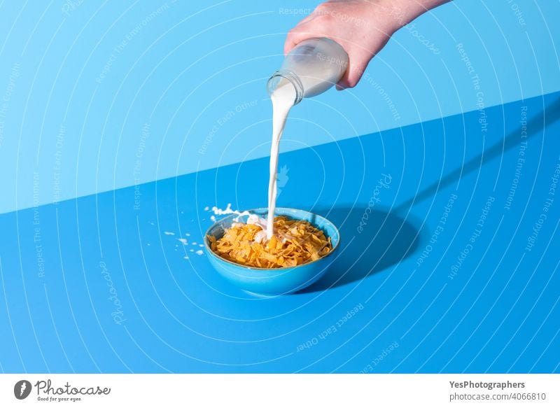 Pouring milk in a cereal bowl on a blue background. Cornflakes and milk. abstract beverage bottle breakfast bright cereals colorful comfort food copy space corn