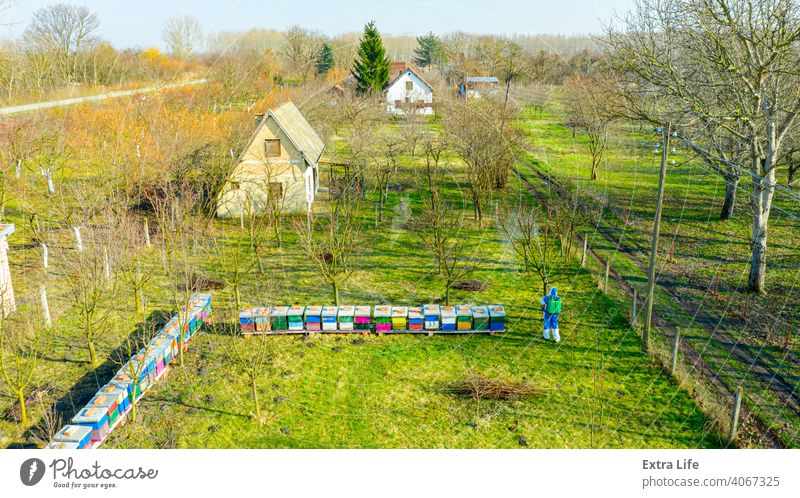 Above view on gardener in protective overall, sprinkles fruit trees with long sprayer, apiary is in the orchard Aerial Aerosol Agricultural Agriculture Apiary