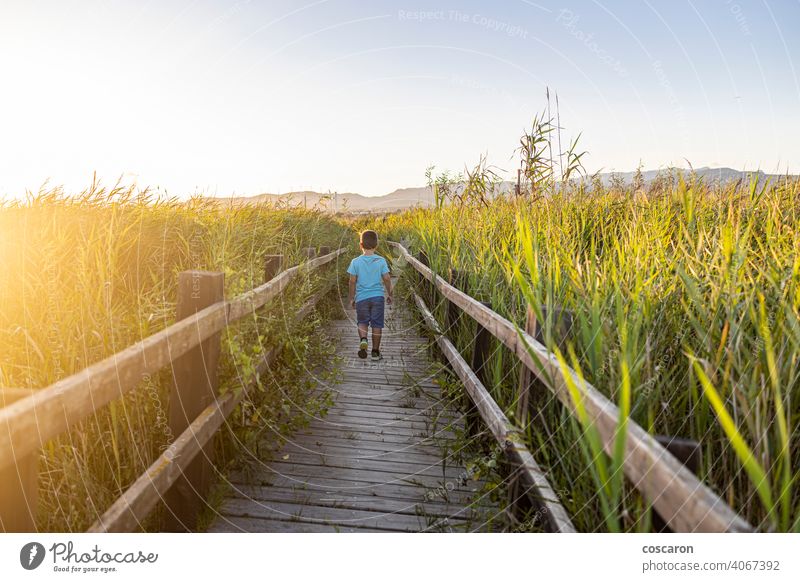 Back view of little boy walking down a path adventure away baby back background beautiful behind bridge child childhood concept day environment explore fashion