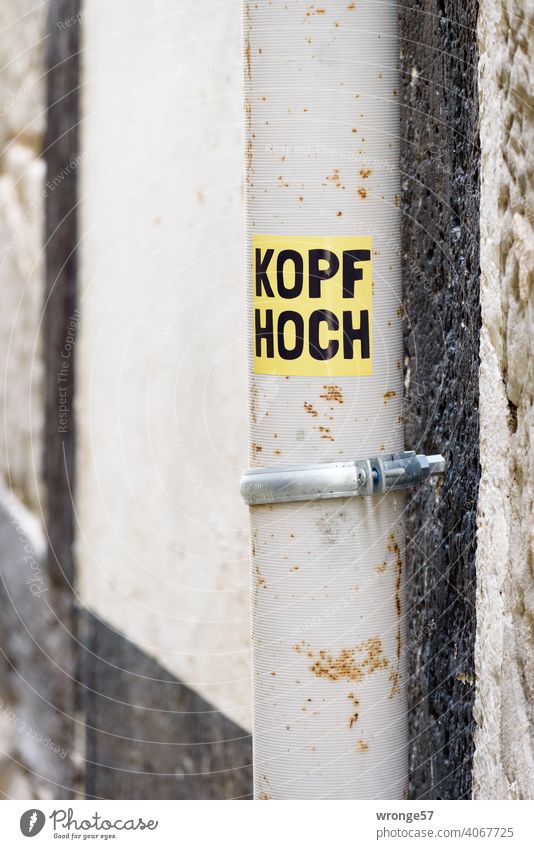 KOPF HOCH is written in black letters on a yellow sticker which was stuck on a rainwater downpipe. Head high stickers Public black writing yellow background