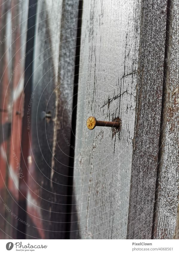 A nail in the wooden wall Nail Wood Craft (trade) Metal Colour photo Close-up Rust Wooden wall Wooden board Copy Space bottom Najaufnahme