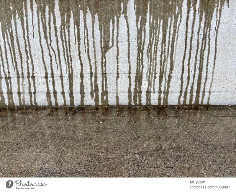 Bad weather front... Concrete Wall (barrier) Concrete wall Wall (building) Gray Gloomy Wet Pattern grey in grey water traces wet Thaw off Sidewalk