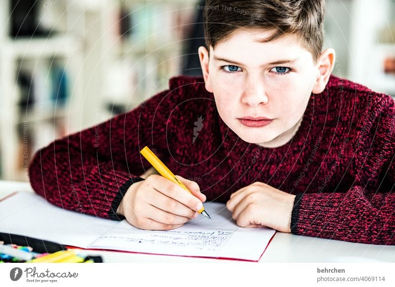 homeschooling | start of the week pen pens coronavirus Exasperated Brash Colour photo Interior shot ponder blue eyes Close-up Child Boy (child) Light Contrast