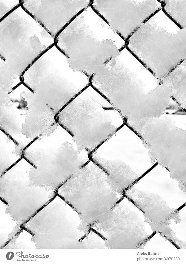 Fence with snow Snow Winter Cold Exterior shot Frost Pattern