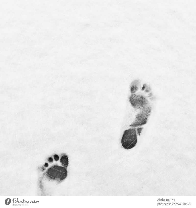 Barefoot prints in the snow Prints Snow Cold Winter Exterior shot Footprint Snow track White