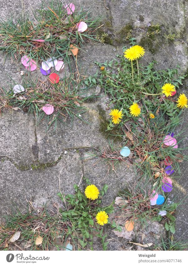 Confetti and flowers on stone floor Stone floor Street variegated Joy whimsical humorous Urban space plants Grass Summer Joie de vivre (Vitality) Colour photo
