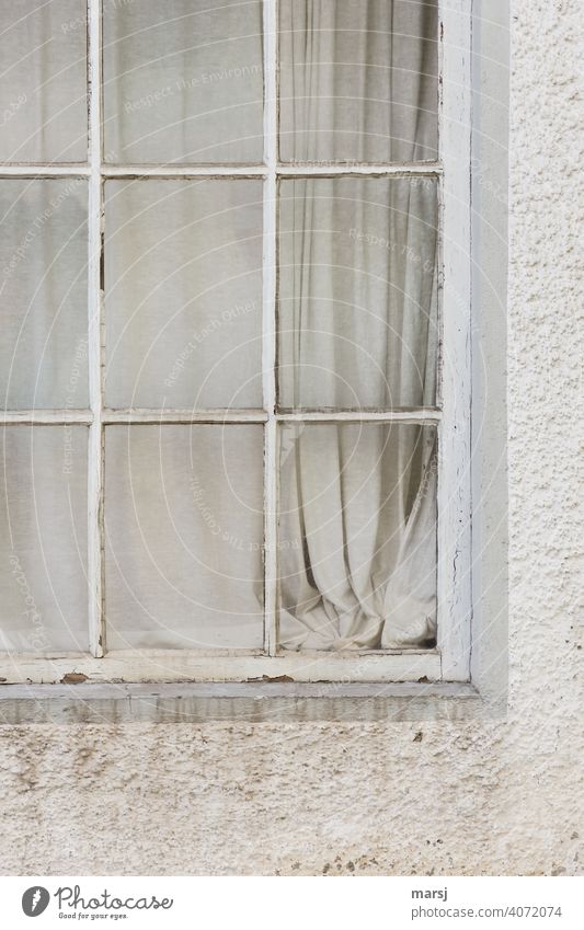 Window to the grey-white curtain world. Old, weathered window in dirty facade. House (Residential Structure) Loneliness Derelict Plaster Fear Sadness Creepy