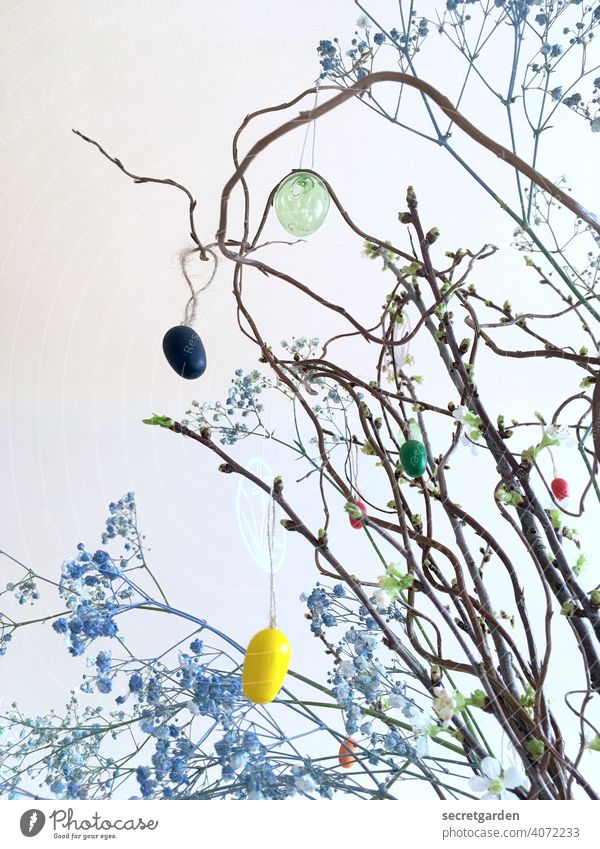 Cherry blossom branches with blue lurker herb and subtle Easter decoration Wall (building) White Easter bush easter jewellery Easter egg Colour photo