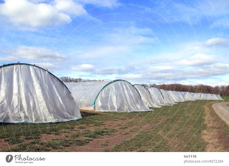 Row of foil tunnels for the next strawberry season Agriculture fruit growing co2 Environment fruits environmentally friendly Strawberry Hiking tunnel