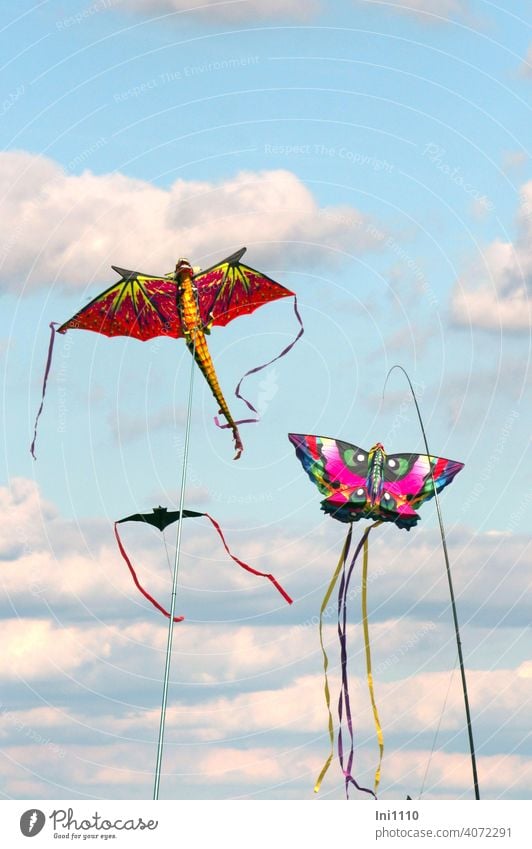 colourful flying objects in the sky kites Kite festival Mythical creature variegated Butterfly hobby free time fun Wind Weather Clouds Sky Beautiful weather