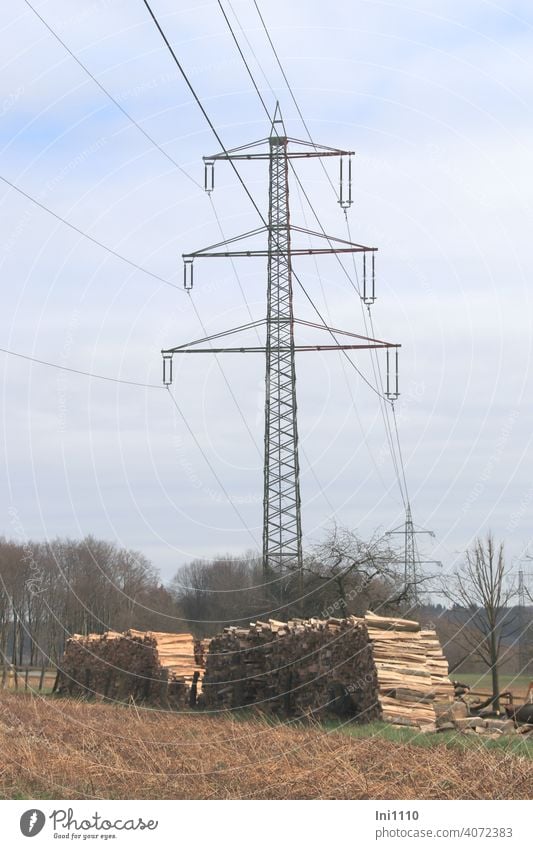 Electricity pylons in the landscape at the foot are wood piles to see Energy industry energy supply transport route high voltage Cables Overhead line