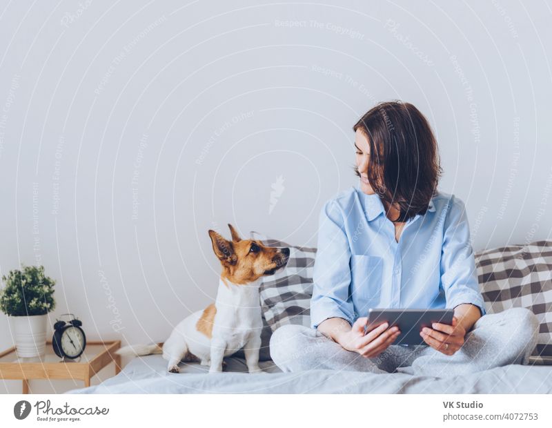 Beautiful brunette female in pyjamas sits on bed in bedroom with her jack russell terrier dog, holds tablet computer, enjoys morning weekend, watches video online, has good relationships with pet