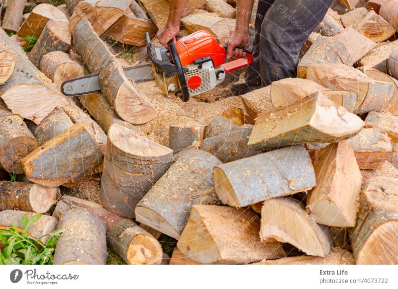 Logger is cutting firewood in the yard with chainsaw Blade Chain Chainsaw Chop Cut Dust Engine Feller Firewood Force Grass Ground Heap Hewer Job Logging Logs
