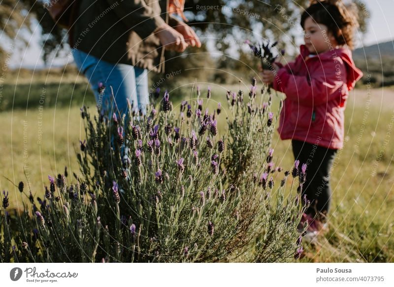 Mother with Daughter picking wild flowers Mother's Day motherhood two people Child childhood Family & Relations Lifestyle Happy Together Joy care Happiness