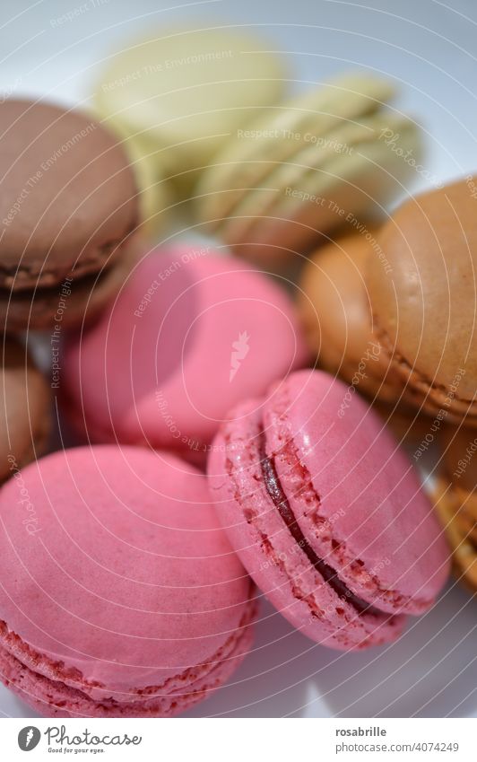 Macaroons | !Trash! 2021 macaroon macaroons cute Delicious Dessert sponge cake Food Confectionary French Macaron Gourmet Snack Tasty variegated Unhealthy