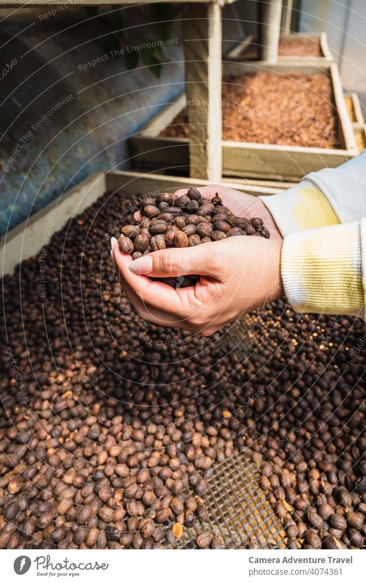 Unrecognizable woman holds roasted coffee beans in her hands aroma holding cafes espresso loading fresh sale expert enjoy person arabica retail check enjoyment