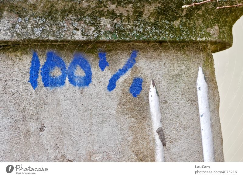 Blue graffiti 100% on a grey mossy wall with two white fence prongs 100% image detail Characters Word number figures Digits and numbers Numbers and numbers