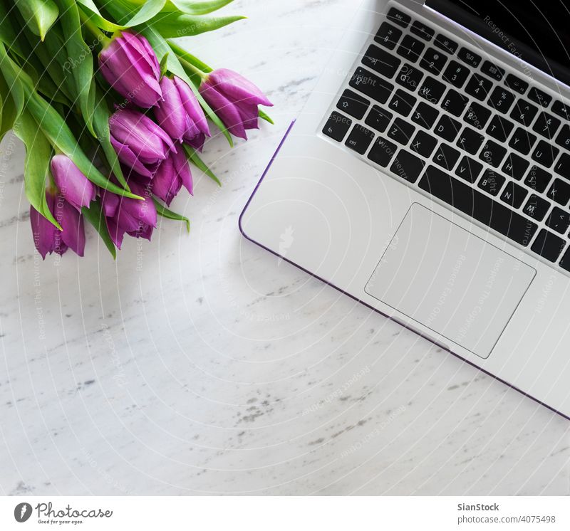 Computer with bouquet of purple tulips laptop computer background spring white design business office desk space work table flowers natural up copy floor green