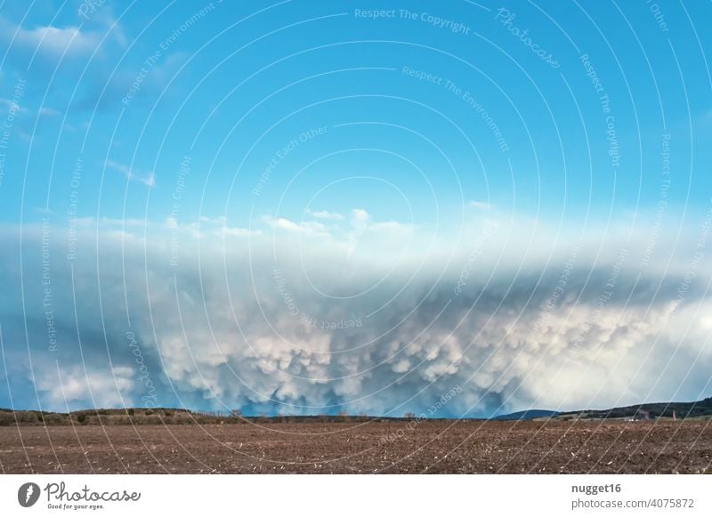 Wallcloud with cumulus clouds over field wall cloud Cumulus Sky Nature Weather Clouds Blue White Environment Climate Atmosphere Heaven cloud landscape