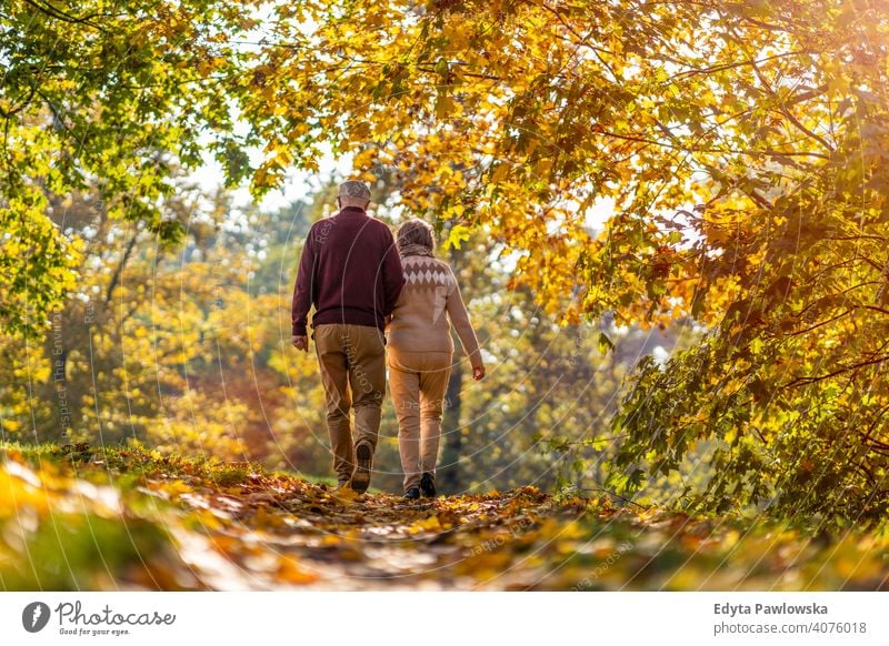 Senior couple enjoying autumn colors together senior love real people retired pensioner retirement aged grandmother grandparent grandfather day two togetherness