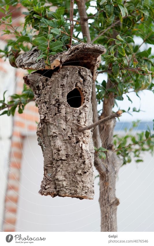 Birdhouse made from the bark of a tree hung home nest nature wood bird branch box park birdhouse forest spring hole garden background natural outdoor wooden