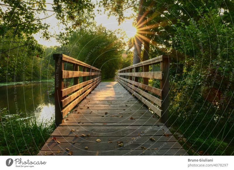 Wooden bridge in the middle of the forest. Rays of the sun through the foliage of trees. Walkway in nature in summer or spring. adventure background beautiful