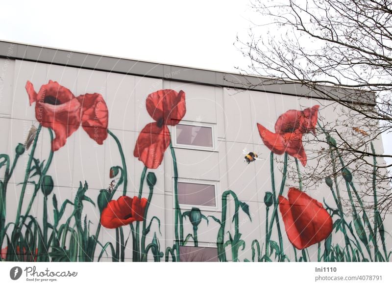 Facade embellished with flower painting corn poppy and some insects house wall extensive Flower motif Corn poppy poppy seed capsules mural painting