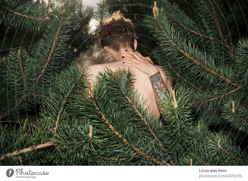 Can a photograph that triggers lust be considered art? What about a sexual image that doesn't trigger lust but is art? There are so many questions for the universe and this naked couple in the woods are trying to solve them while on a naked date.
