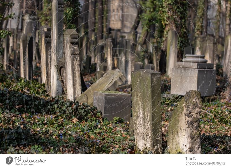 an old Jewish cemetery in Berlin Cemetery Prenzlauer Berg Schönhauser Allee Spring Exterior shot Town Capital city Downtown Old town Deserted Colour photo Grave