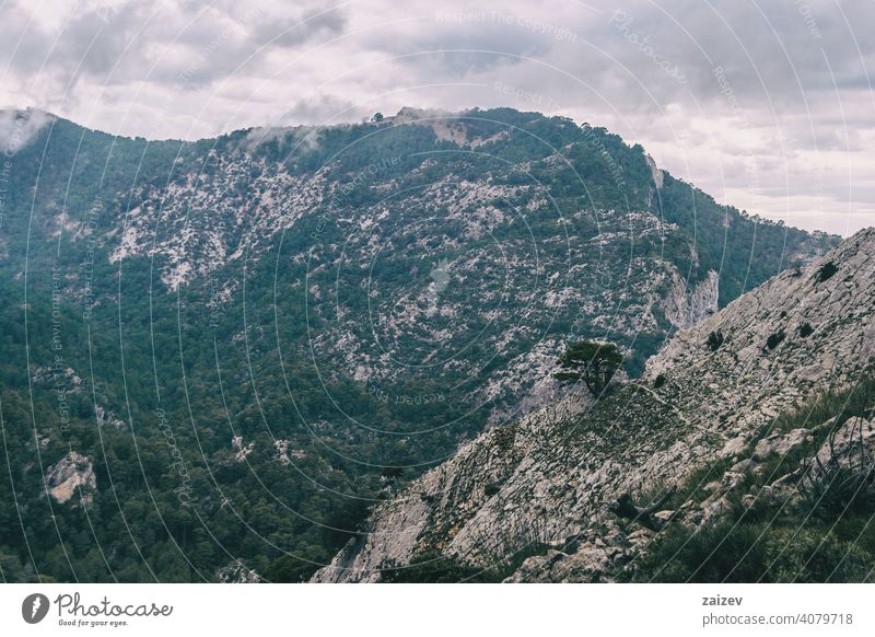 cloudy day with fog in the mountains of the natural park of the ports, in tarragona (spain) eroded layered canyon nature outdoors travel destinations descent