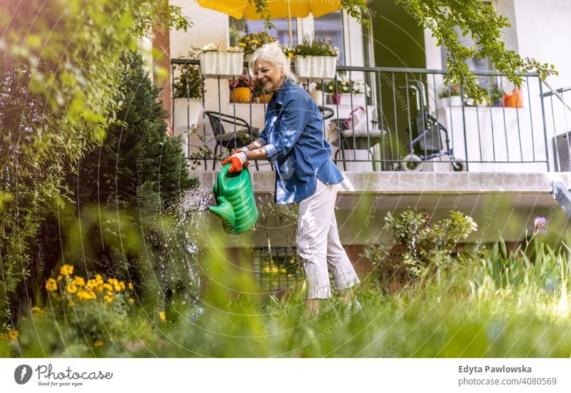 Senior woman watering plants in her garden outdoors backyard outside lawn grass working gardening nature hobbies gardener enjoying active weekend activity
