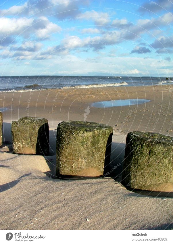 stumps Usedom Beach Twilight Ocean Baltic Sea Sand