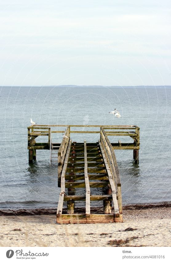Illusion | no seat with a view today. no seat with a view tomorrow. Sea bridge Beach Water Baltic Sea Seagull Broken Footbridge Wood construction Architecture