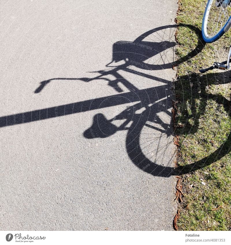 Shady sides - A bicycle and its shadow, just parked, caught my attention while I was walking. Shadow Light Light and shadow Contrast Sunlight Exterior shot Day