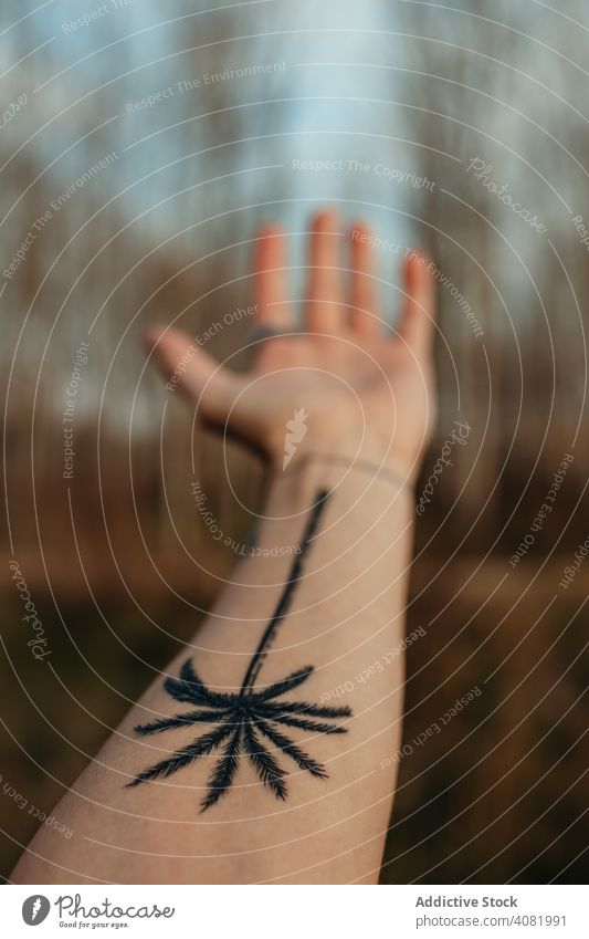 Crop hand with tattoo in countryside conifer showing forest mountain large daytime view organic natural big huge palm traditional plant demonstrating travel