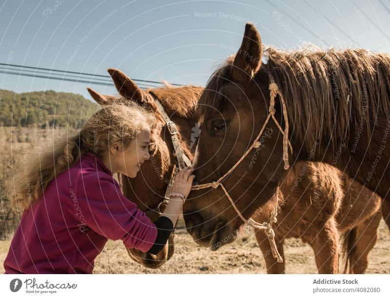 Woman taking care of horse woman stable lesson ranch animal sunny daytime professional hobby barn exterior shed stall stallion mare lifestyle leisure friend