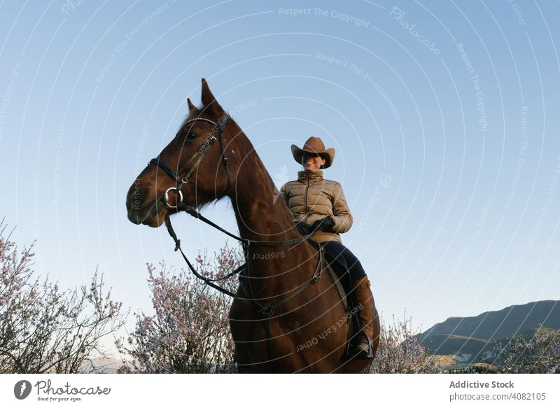 Woman on horse in field woman looking away countryside rider nature sky cloudless blue female sunny daytime lifestyle leisure freedom young animal creature