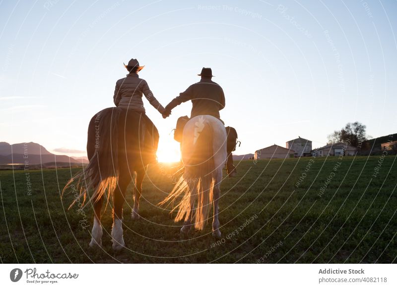 People on horses holding hands people riding ranch sunset sky evening man woman gesture sport horseback equestrian lifestyle leisure recreation domestic fun