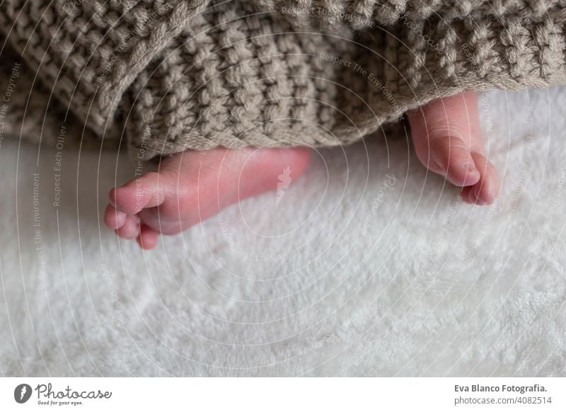 Baby feet isolated under white brown cover lovely foot cute newborn toe tiny small child innocence caucasian little soft beauty care infant closeup beautiful