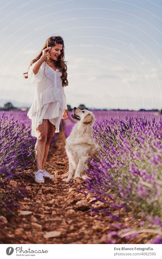 beautiful woman with her golden retriever dog in lavender fields at sunset. Pets outdoors and lifestyle. meadow beauty leisure freedom dress care smile summer