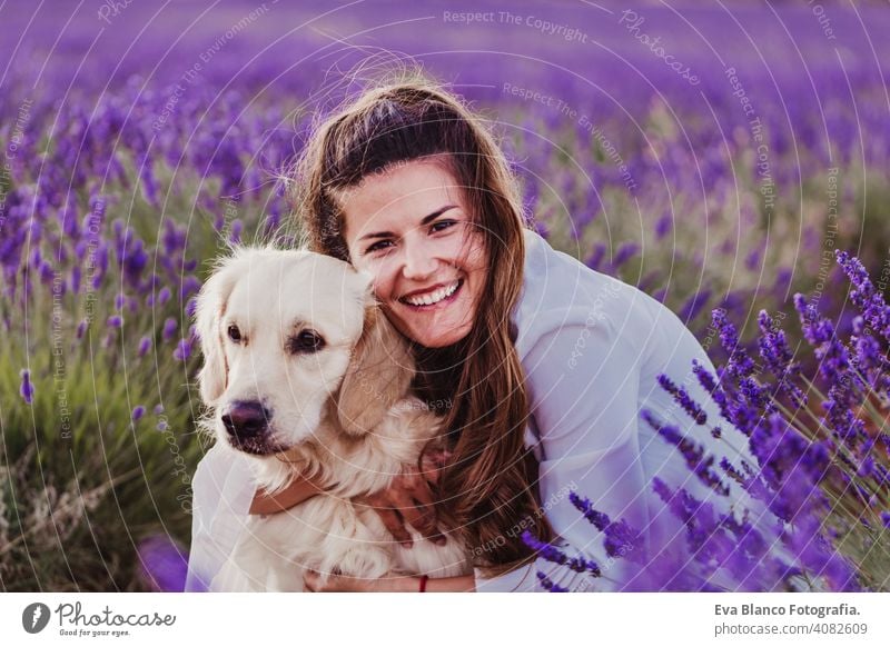 beautiful woman hugging her golden retriever dog in lavender fields at sunset. Pets outdoors and lifestyle. meadow beauty leisure freedom dress care smile