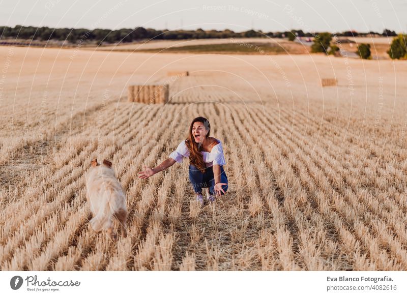 young beautiful woman walking with her golden retriever dog on a yellow field at sunset. Nature and lifestyle outdoors. Funny dog running to her owner summer