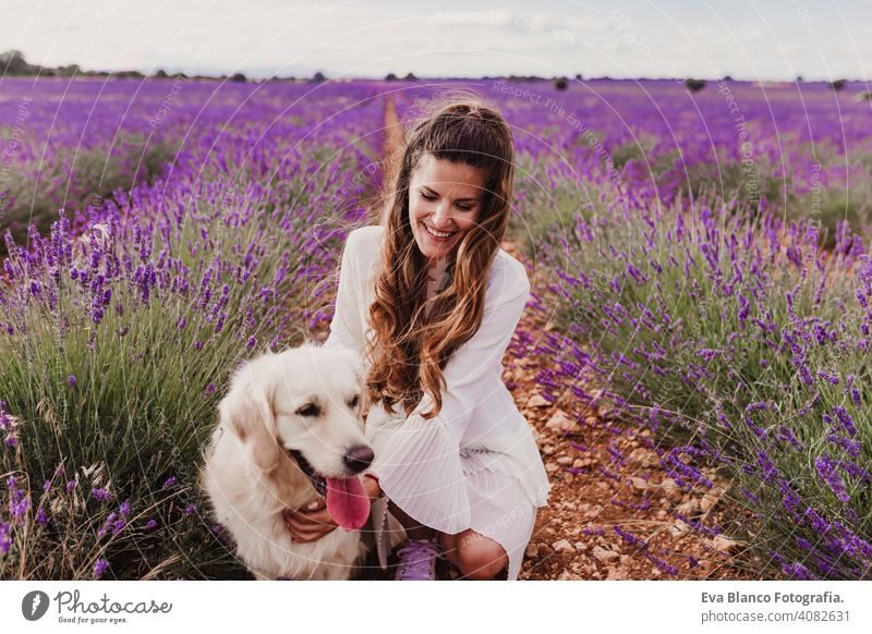 beautiful woman with her golden retriever dog in lavender fields at sunset. Pets outdoors and lifestyle meadow beauty leisure freedom dress care smile summer