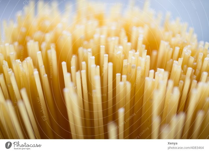 spaghetti Noodles Spaghetti Food Nutrition Italian Food Lunch Vegetarian diet Close-up Dough