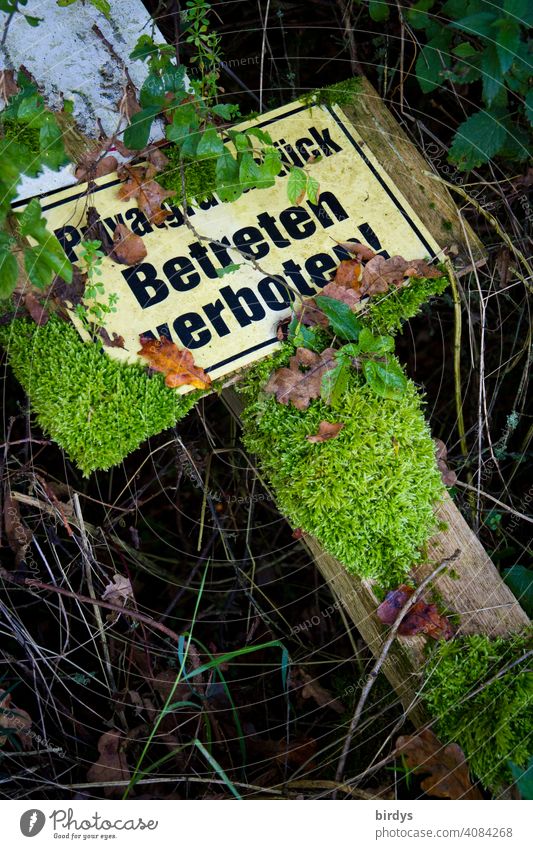 Private property, no trespassing ! Fallen over sign on the forest floor, overgrown with moss. Signs and labeling private property Prohibition sign Characters